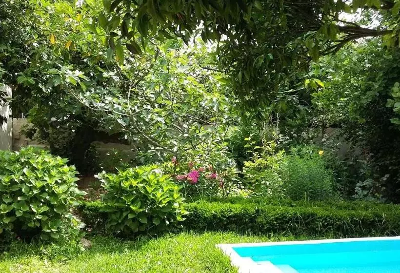 Aamiaismajoitus (B&B) Quinta D Avó Amélia