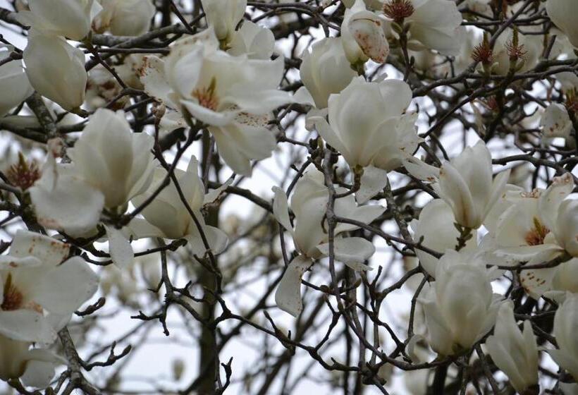 Bed and Breakfast Quinta D Avó Amélia