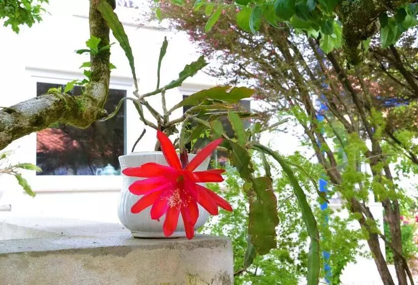 Aamiaismajoitus (B&B) Quinta D Avó Amélia