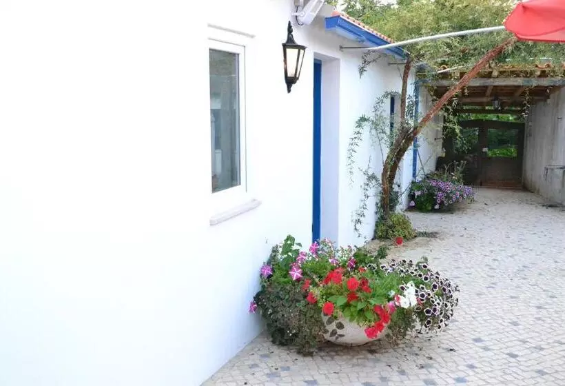 Aamiaismajoitus (B&B) Quinta D Avó Amélia