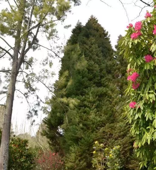 Aamiaismajoitus (B&B) Quinta D Avó Amélia