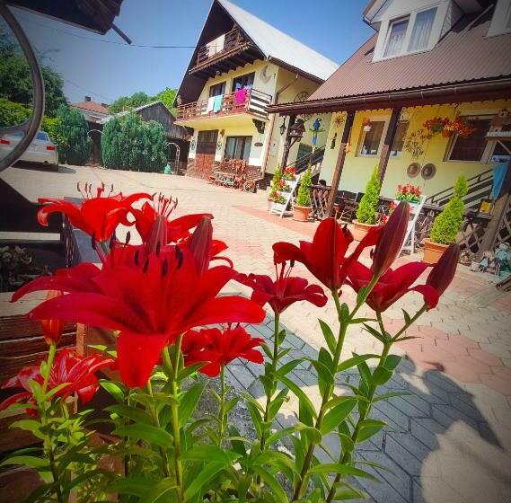 酒店 Agroturystyka Pod Kołami