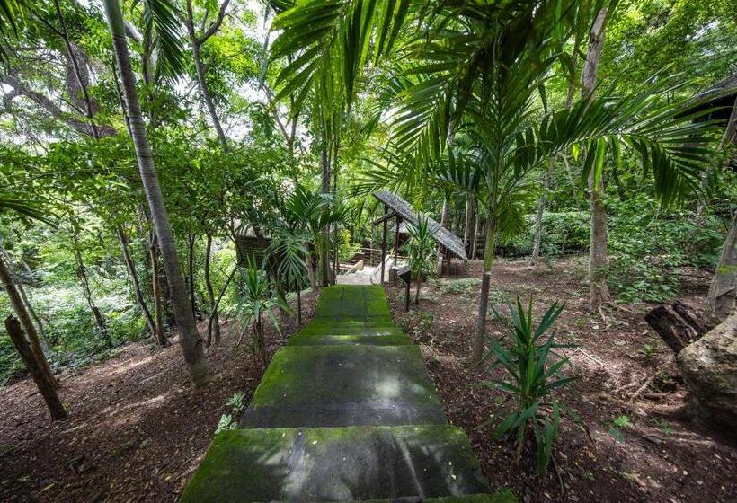 فندق Buena Vista Surf Club