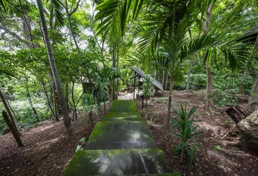 Hotelli Buena Vista Surf Club