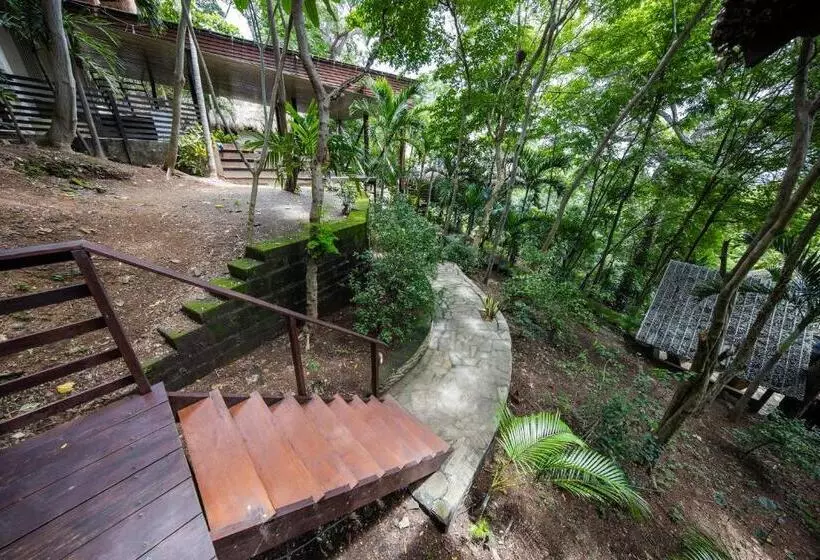 Hotelli Buena Vista Surf Club