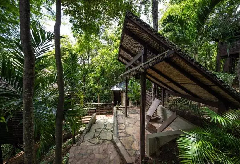 Hotelli Buena Vista Surf Club