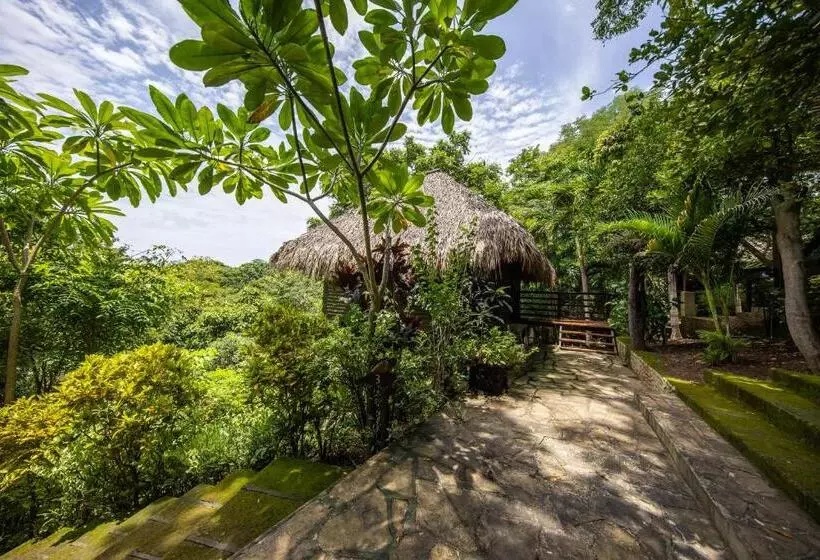 Hotelli Buena Vista Surf Club