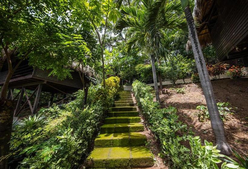 فندق Buena Vista Surf Club