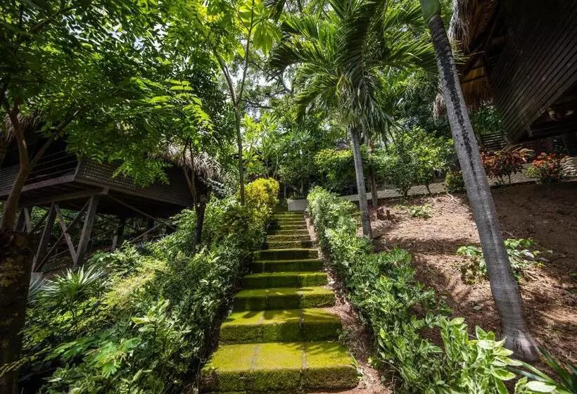 Hotelli Buena Vista Surf Club