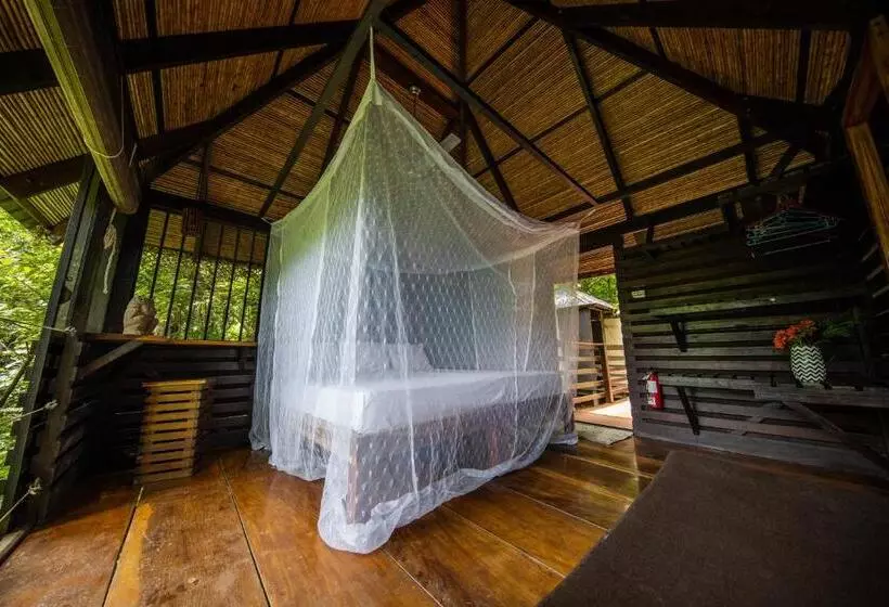 Hotelli Buena Vista Surf Club