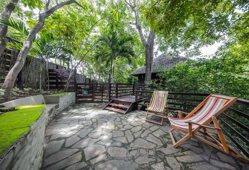 فندق Buena Vista Surf Club