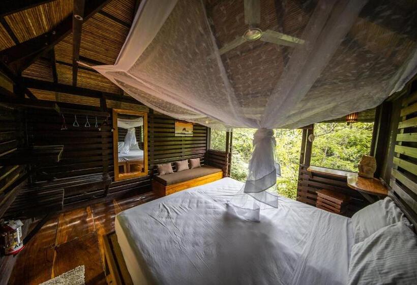 فندق Buena Vista Surf Club