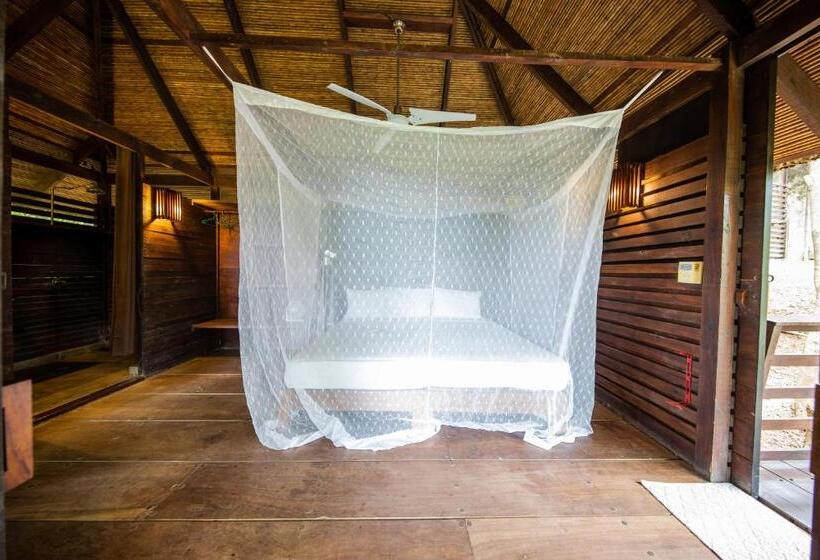 فندق Buena Vista Surf Club