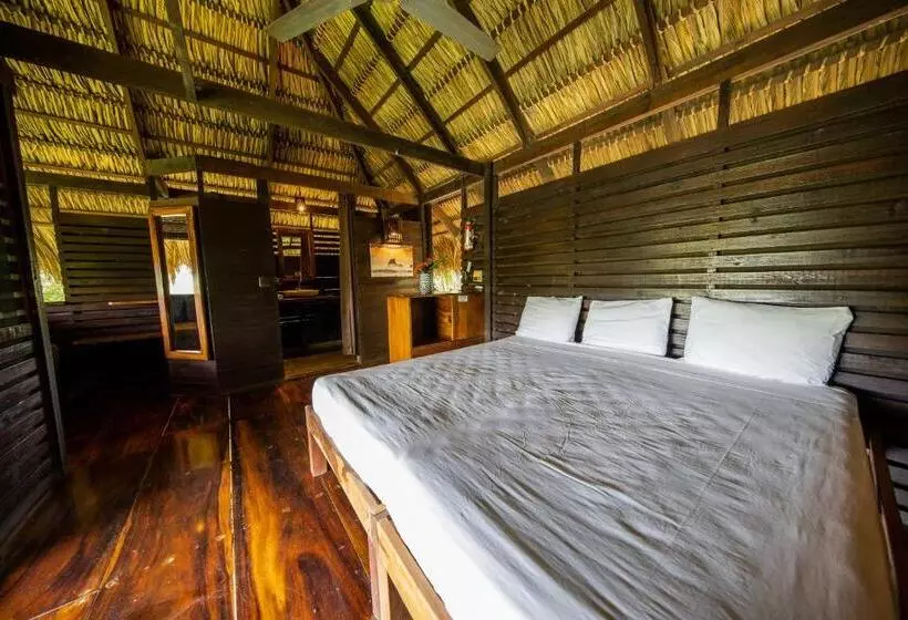 Hotelli Buena Vista Surf Club