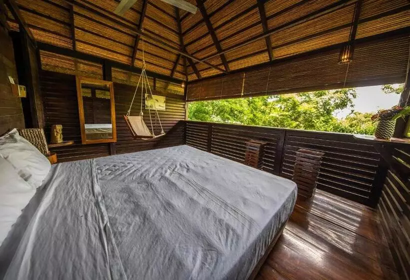 Hotelli Buena Vista Surf Club