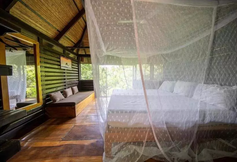 Hotelli Buena Vista Surf Club