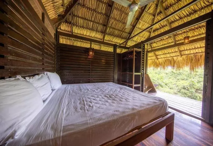 Hotelli Buena Vista Surf Club