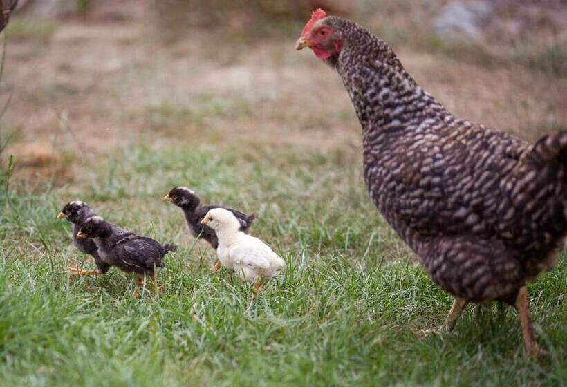 هتل Gospodarstwo Agroturystyczne Kowalowe Wzgórze