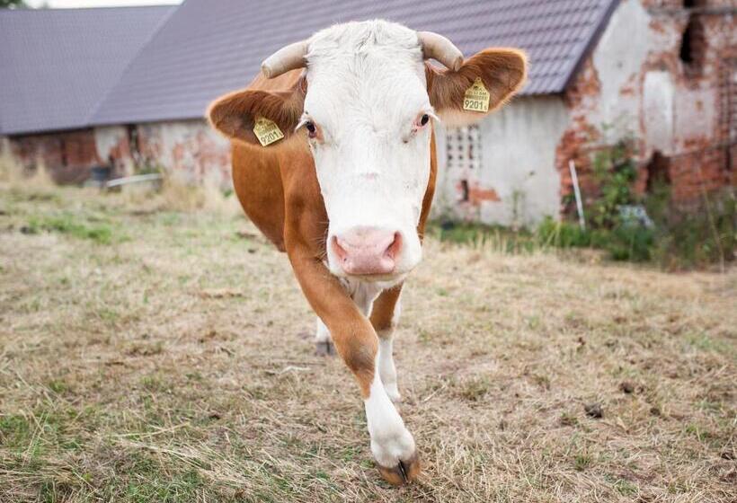 هتل Gospodarstwo Agroturystyczne Kowalowe Wzgórze