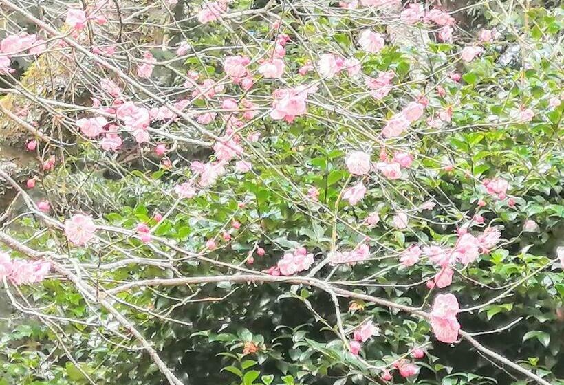 בית מלון כפרי Minami Hakone Villa