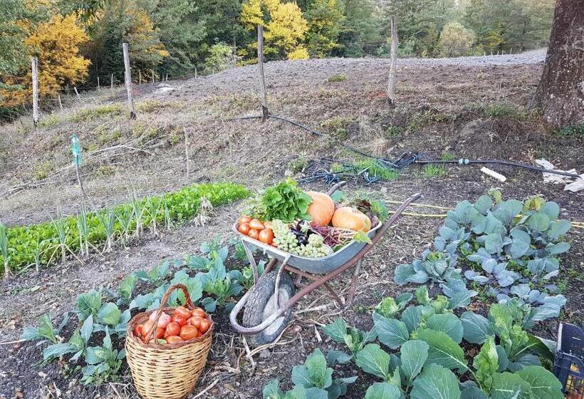 בית מלון כפרי Quercia Antica