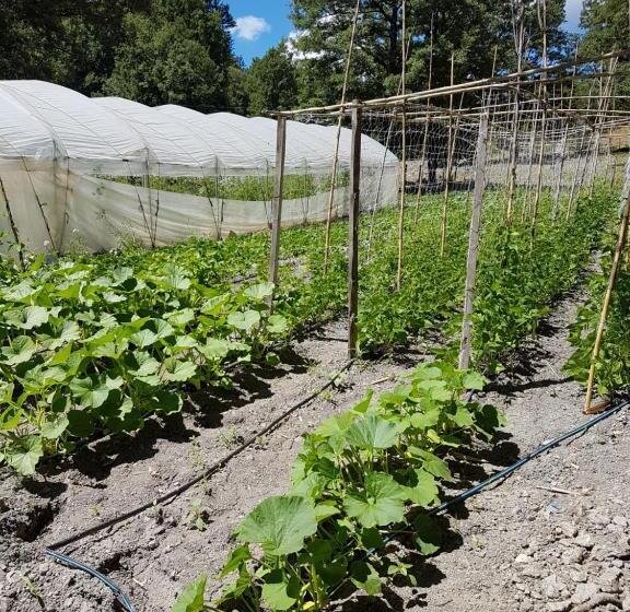 בית מלון כפרי Quercia Antica