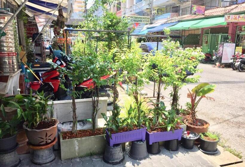 Hotel Thai Orchid Guest House