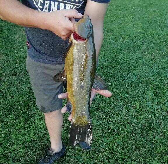 酒店 Zielona Dolina