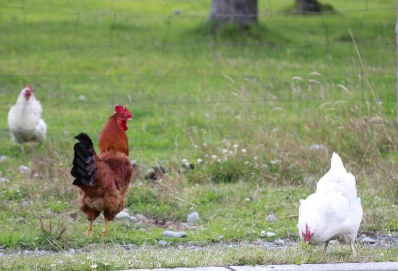 Panzió Cabañas Kela