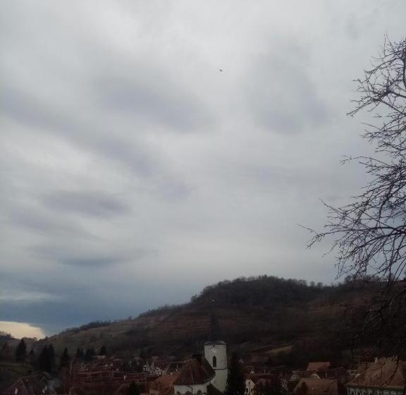 膳宿费 Casa Arthur Richis