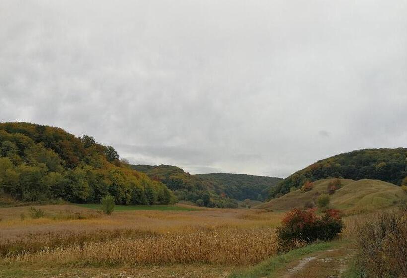 膳宿费 Casa Arthur Richis