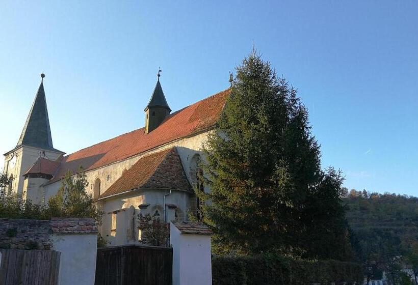 膳宿费 Casa Arthur Richis