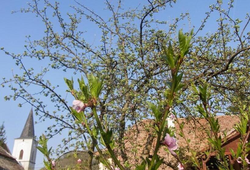 膳宿费 Casa Arthur Richis