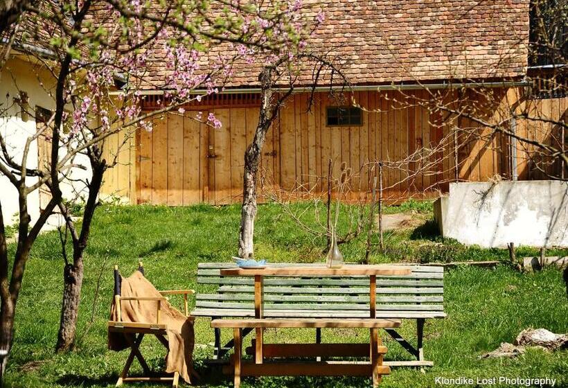 膳宿费 Casa Arthur Richis