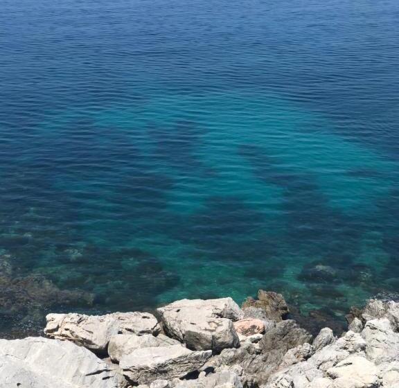 膳宿费 Domus Orestea Luxury Suites