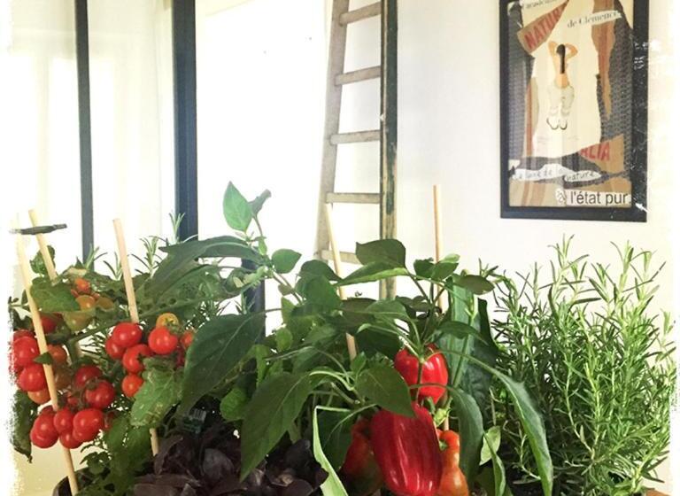 پانسیون L Académie De Clémence, Guest House Paris Roland Garros