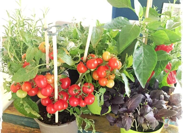 پانسیون L Académie De Clémence, Guest House Paris Roland Garros