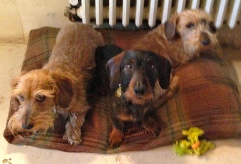 بنسيون Le Jas Du Boeuf