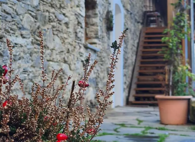 Majatalo Penzion Krakovice