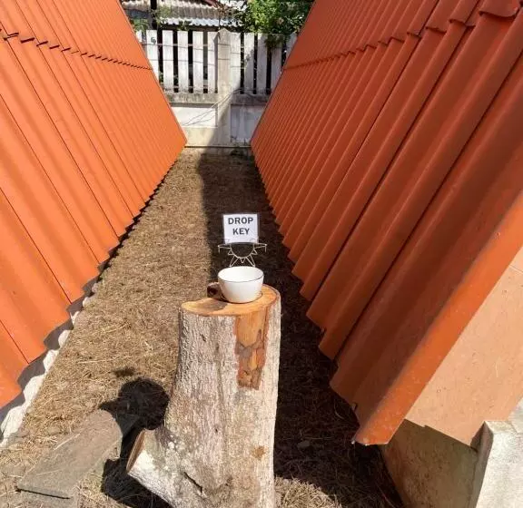 پانسیون Popeye House