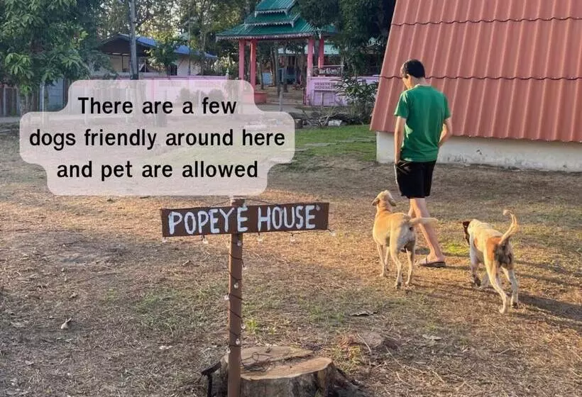 پانسیون Popeye House