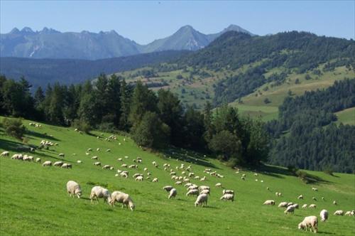 Пансион Ubytovanie U Emila
