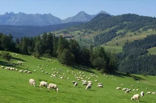 ペンション Ubytovanie U Emila