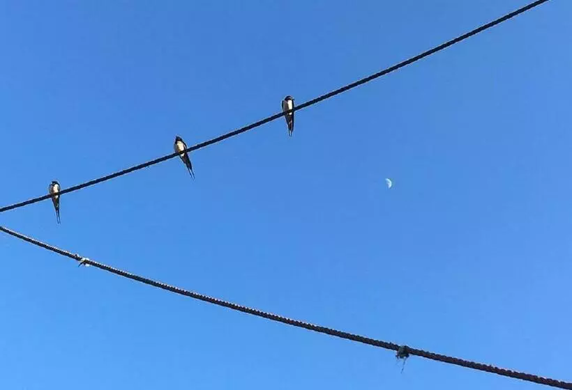 B&b Pipowagen Het Wellnesst Op Wellness Camping En B&b Stoltenborg