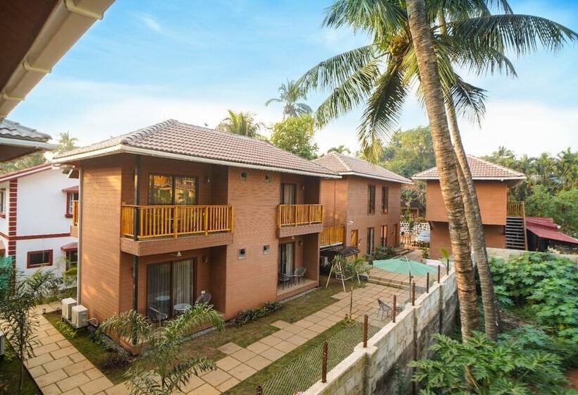 Hotel Treehouse Mars Beach Cottages