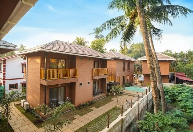 ホテル Treehouse Mars Beach Cottages