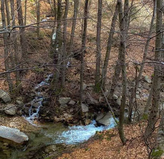 Majatalo бялата къща