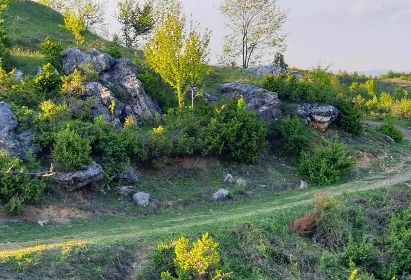 Majatalo бялата къща