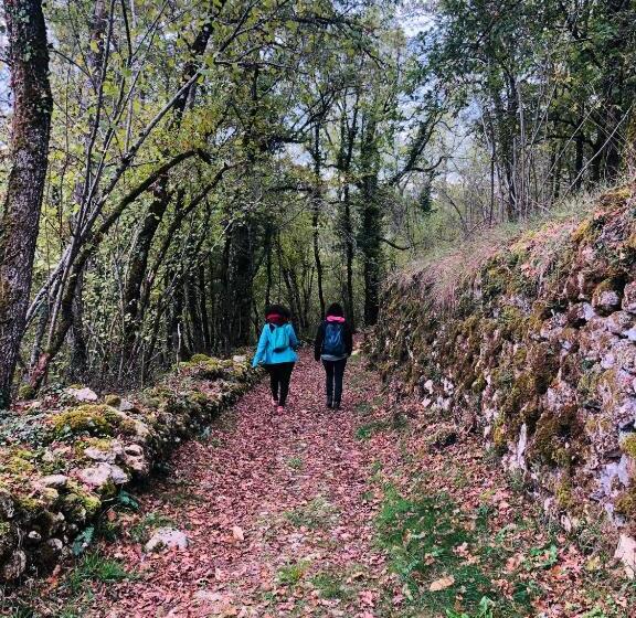 פנסיון Chateau Le Mas De Montet