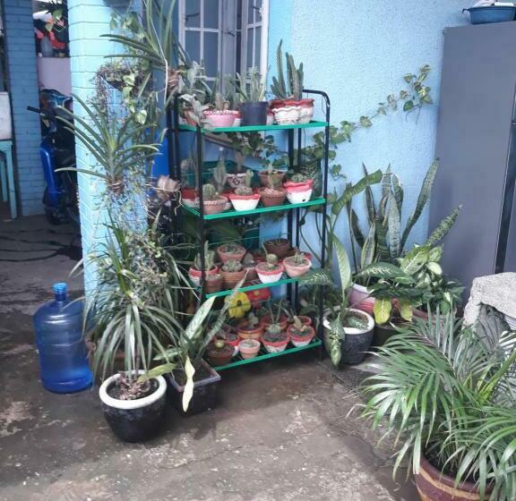 펜션 Cvbnb Guesthouse